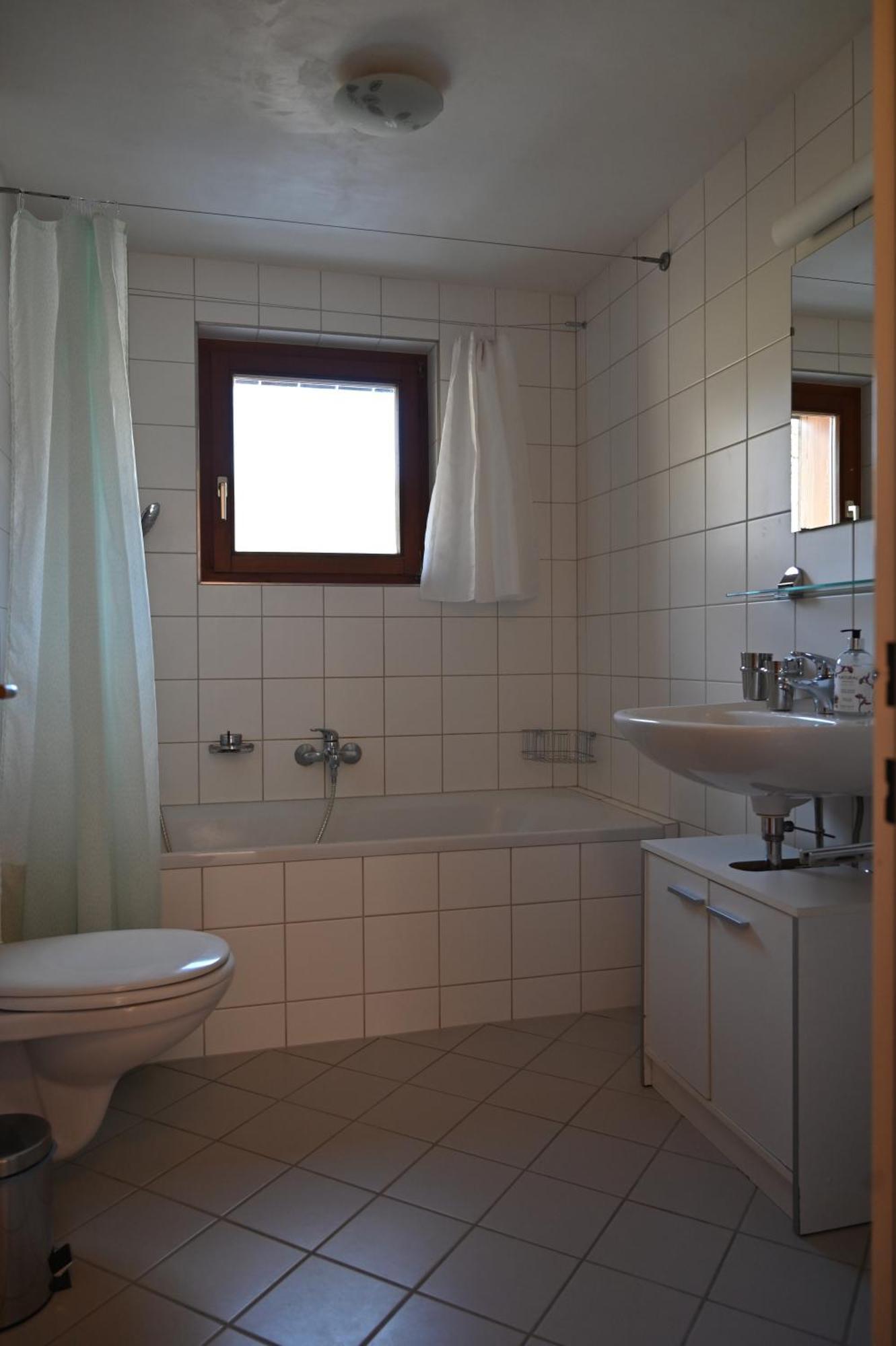 Apartment Allmein 2 Vandans